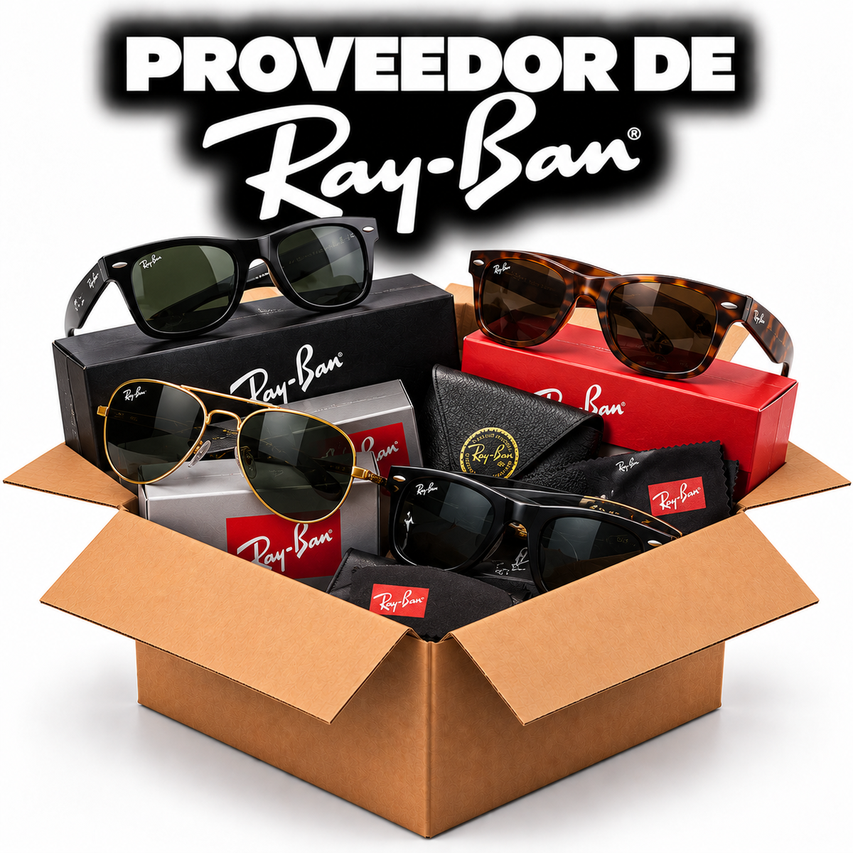 Proveedor Ray-Bay